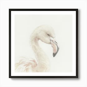 Flamingo 6 Art Print