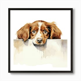 Setter Irish Red 2 Art Print