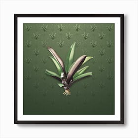 Vintage Boat Lily Botanical on Lunar Green Pattern n.2227 Art Print