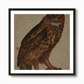 Eagle Owl Art Print