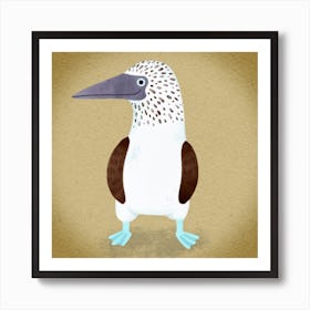 Blue Footed Booby Bird Square Art Print