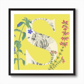 Botanical S Art Print