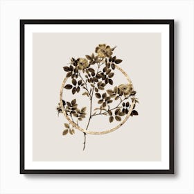 Gold Ring Rose Corymb Glitter Botanical Illustration n.0136 Art Print