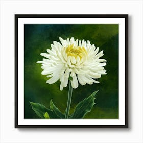 Chrysanthemum 1 Art Print