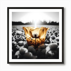 Candle In The Field Art Print