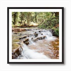 Forest Waterfall Square Art Print