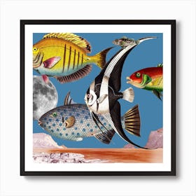 Fish World Blue Square Art Print