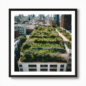 Green Roof In New York City Art Print