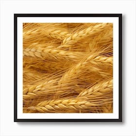 Golden Wheat 5 Art Print