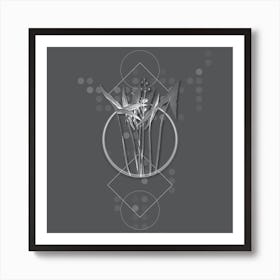 Vintage Arrowhead Botanical with Line Motif and Dot Pattern in Ghost Gray n.0030 Art Print