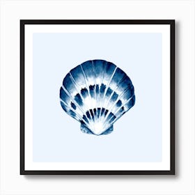 Blue And White Seashell Art Print