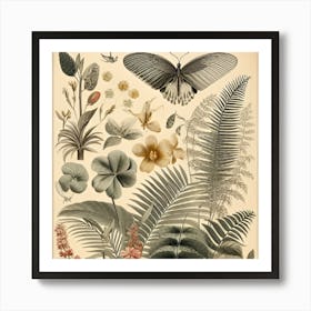 Botanical Print Art Print