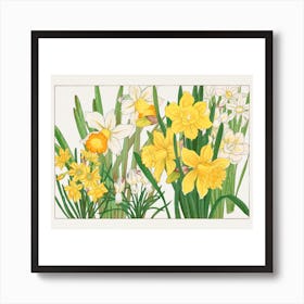 Daffodils Art Print