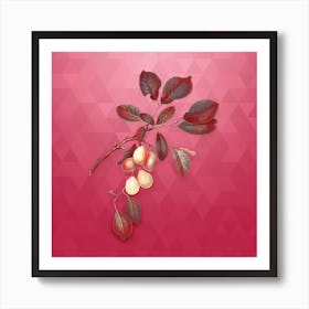 Vintage Cherry Botanical in Gold on Viva Magenta n.0960 Art Print