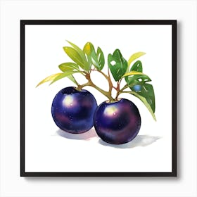 Jaboticaba Art Print