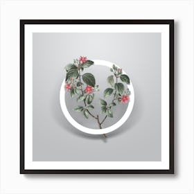 Vintage Crossberry Minimalist Botanical Geometric Circle on Soft Gray n.0310 Art Print