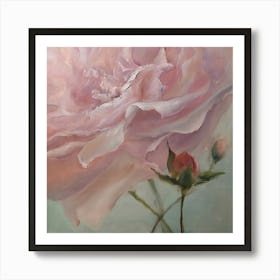 Pink Rose Art Print