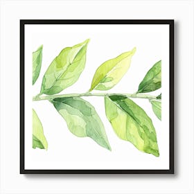 Watercolor Leaf Art Print