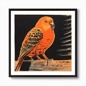 Retro Bird Lithograph Budgerigar 4 Art Print
