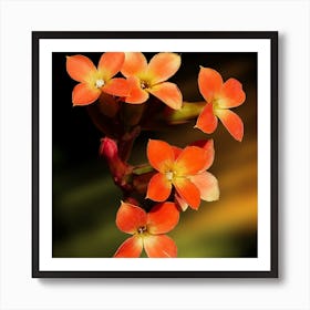 Orange Flowers 1 Art Print