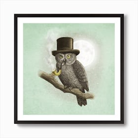 Night Owl Art Print