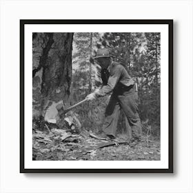 Grant County, Oregon, Malheur National Forest, Lumberjack Starting The Undercut By Russell Lee Art Print