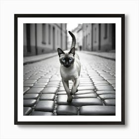 Siamese Cat Walking On Cobblestone Street Art Print