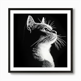 Cat Silhouette Art Print