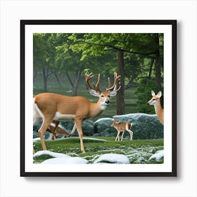 Deer In The Forest Art Print