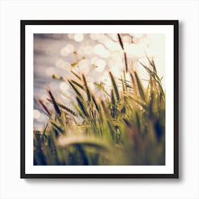 Green Grass under the Summer Light Art Print