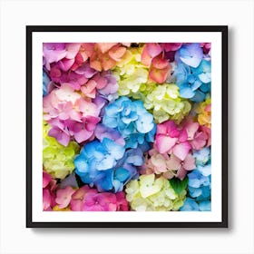 Colorful Hydrangeas Art Print