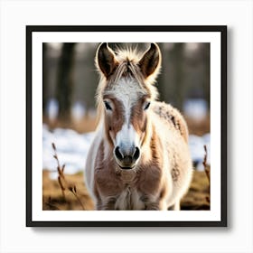 Horse Animal Grass Breeding Head Pasture Donkey Standing Farm Cute White Background Natu (4) Art Print