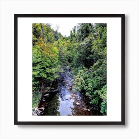 French River Art Print