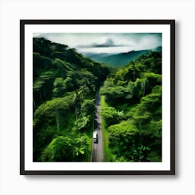 Aerial View Of A Road In The Rainforest 2 Affiche