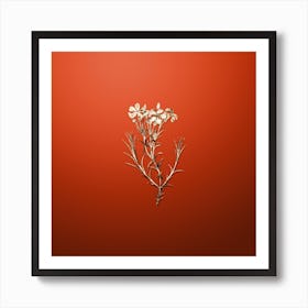 Gold Botanical Shewy Phlox Flower Branch on Tomato Red n.4054 Art Print