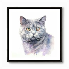 Australian Mist Shorthair Cat Portrait 1 Art Print