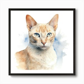 Colorpoint Shorthair Cat Portrait 1 Art Print