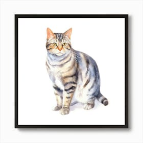 American Wirehair Shorthair Cat Portrait Art Print