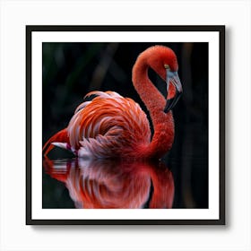 Flamingo 59 Art Print