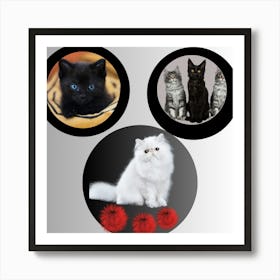 Three Cats 1 Art Print