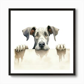 Great Dane Dog 1 Art Print