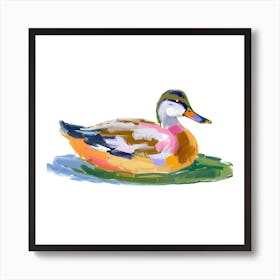 Duck 09 1 Art Print