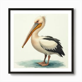 Pretty Pelican Bird Poster