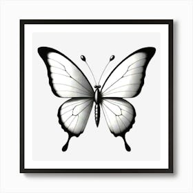 Butterfly On A Black Background Art Print