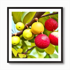 Fruit On A Tree 29 Art Print