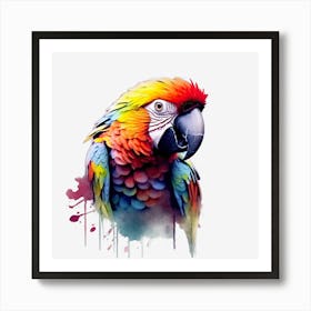 Colorful Parrot 16 Poster