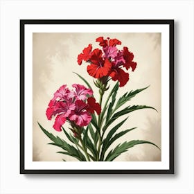 Sweet William Floral Botanical Vintage Poster Flower Art Print Art Print