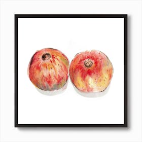 Two Pomegranates Art Print