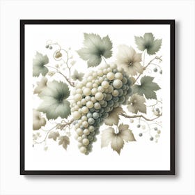 White Grapes and Vine 1 Art Print