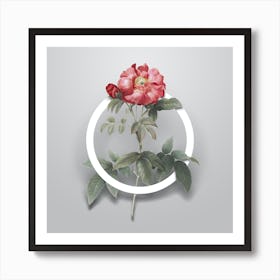 Vintage Provins Rose Minimalist Botanical Geometric Circle on Soft Gray n.0113 Art Print